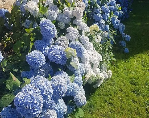 Chateau Du Plessis Bochard